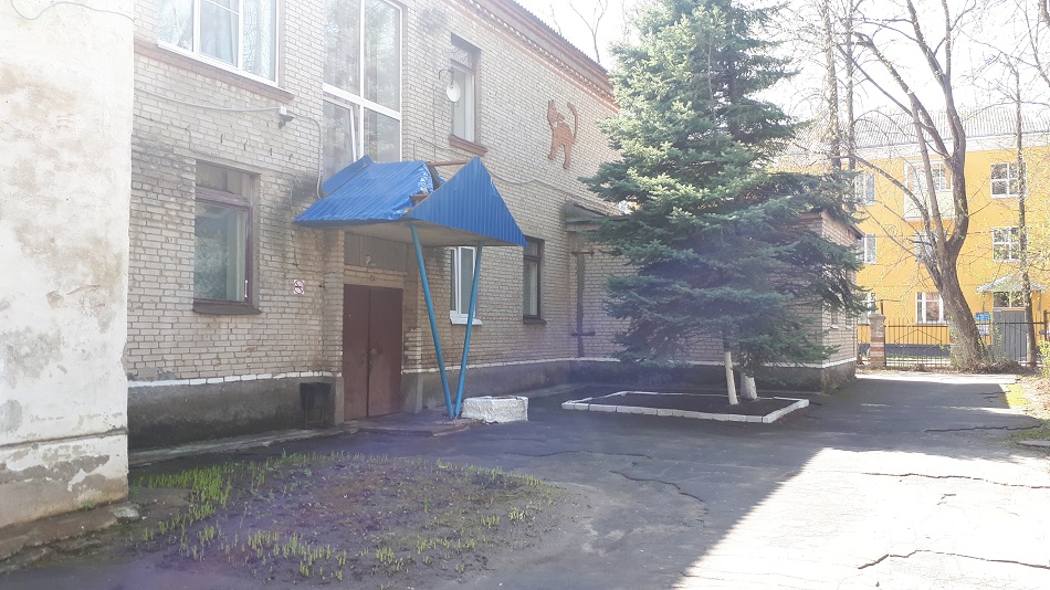 Во Владимире детей водят в детский сад через пожарные выходы из-за разбитых наледью козырьков