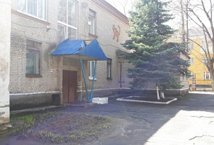 Во Владимире детей водят в детский сад через пожарные выходы из-за разбитых наледью козырьков